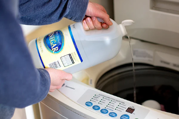 A person pouring distilled white vinegar into a washing machine